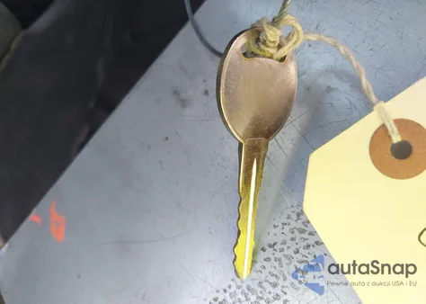 2002 Dodge Ram 1500 z USA, uszkodzony, nr VIN 3D7HA18N72G184363